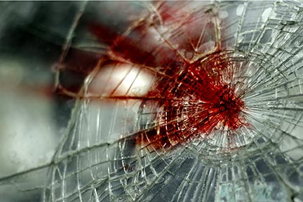 Tallahassee car collision lawyers help victims Tallahassee vehicle accident attorneys can represent you in a court of law.
