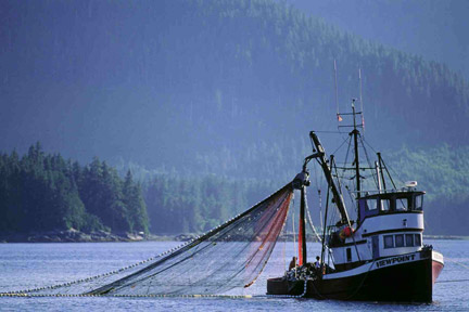 Daly City maritime lawyers Daly City personal injury attorneys represent victims of negligence