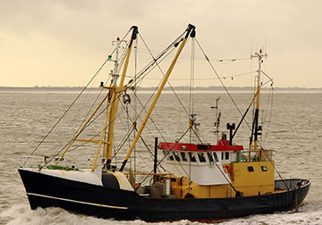 Maritime attorneys in Whitter, CA Unexpected accidents can ruin your vacation time. If you get injured during such cruise ride accident, you can contact one of the Whittier lawyers listed in this site for a free consultation.