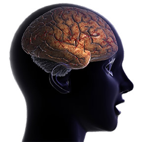 Hospital negligence lawyers in San Jose San Jose medical malpractice lawyers help victims of hospital negligence.