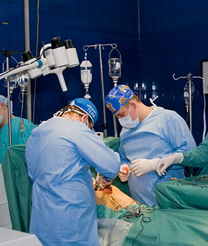 Medical negligence lawyers in Deer Park Deer Park lawyers who sue doctors and hospitals