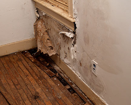 Product liability lawyers in Palmdale There are local Palmdale dangerous product attorneys who can sue the manufacturer.